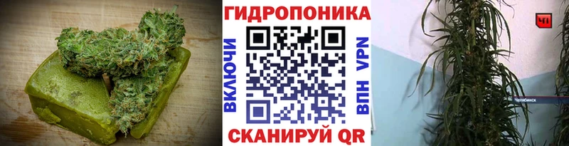 Еда ТГК конопля  kraken вход  Рудня 