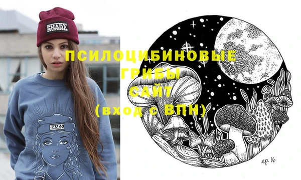 mdpv Елизово