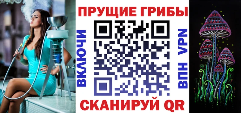 Псилоцибиновые грибы GOLDEN TEACHER  цены наркотик  MEGA как войти  Рудня 